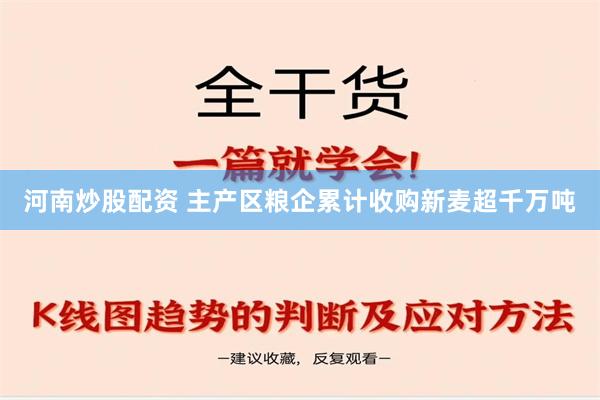 河南炒股配资 主产区粮企累计收购新麦超千万吨