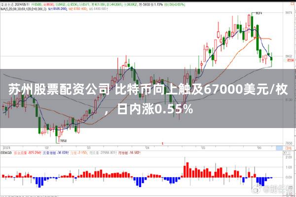 苏州股票配资公司 比特币向上触及67000美元/枚，日内涨0.55%