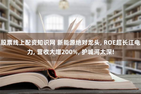 股票线上配资知识网 新能源绝对龙头, ROE超长江电力, 营收大增200%, 护城河太深!