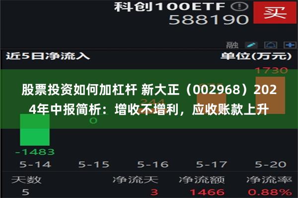 股票投资如何加杠杆 新大正（002968）2024年中报简析：增收不增利，应收账款上升