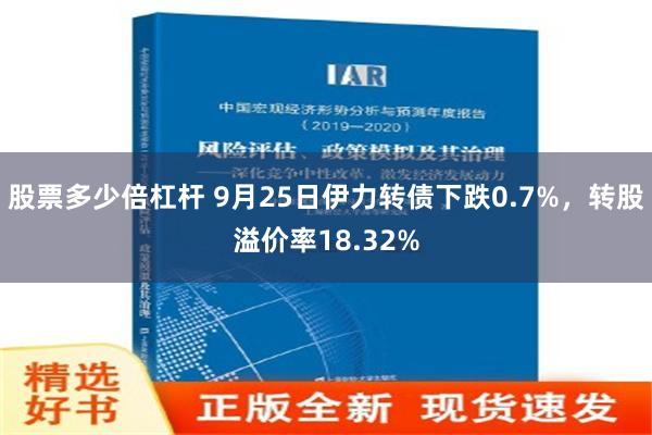 股票多少倍杠杆 9月25日伊力转债下跌0.7%，转股溢价率18.32%