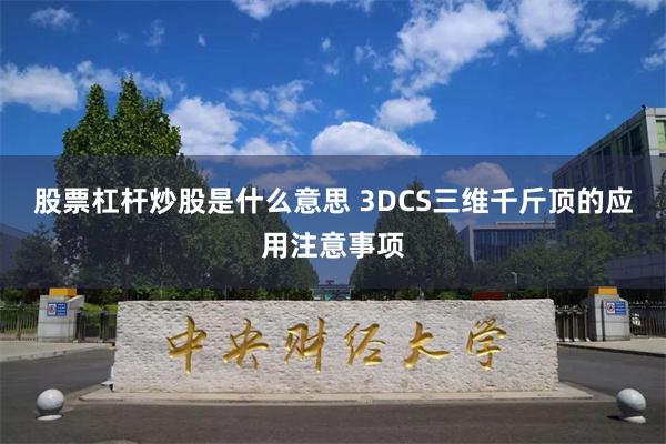 股票杠杆炒股是什么意思 3DCS三维千斤顶的应用注意事项