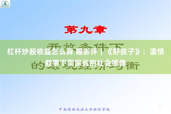 杠杆炒股收益怎么算 瞄影评｜《野孩子》：温情叙事下需深省的社会镜像