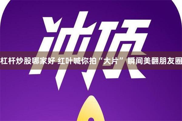 杠杆炒股哪家好 红叶喊你拍“大片” 瞬间美翻朋友圈