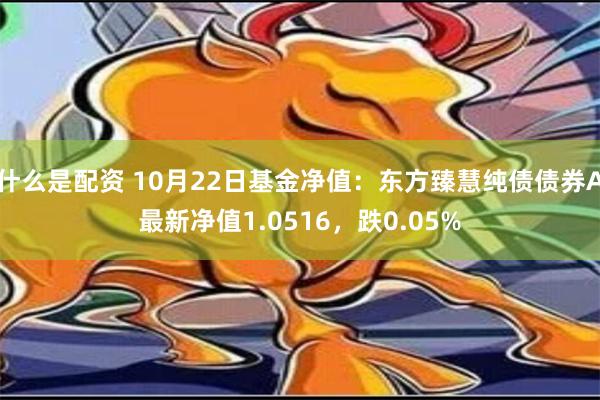 什么是配资 10月22日基金净值：东方臻慧纯债债券A最新净值1.0516，跌0.05%