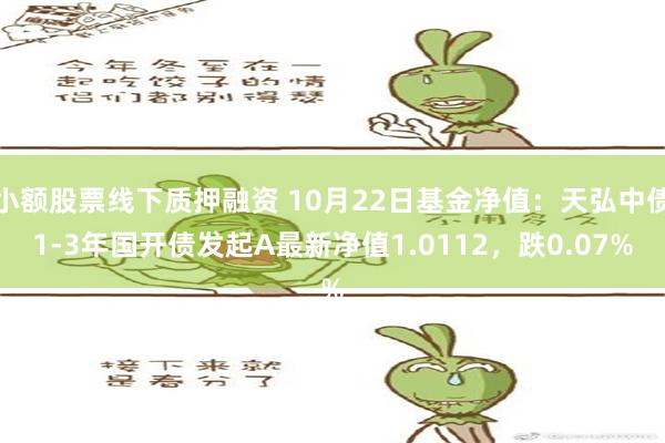 小额股票线下质押融资 10月22日基金净值：天弘中债1-3年国开债发起A最新净值1.0112，跌0.07%