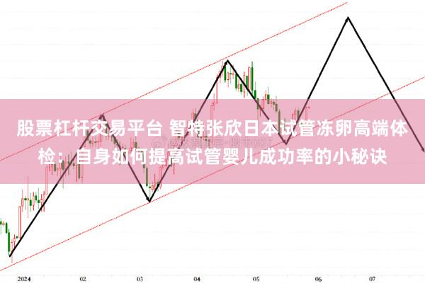 股票杠杆交易平台 智特张欣日本试管冻卵高端体检：自身如何提高试管婴儿成功率的小秘诀