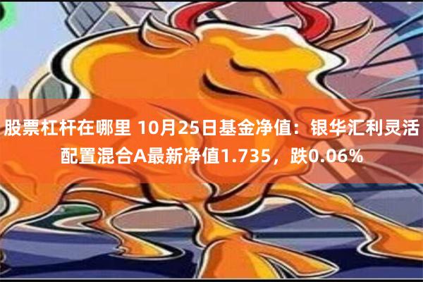 股票杠杆在哪里 10月25日基金净值：银华汇利灵活配置混合A最新净值1.735，跌0.06%