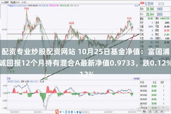 配资专业炒股配资网站 10月25日基金净值：富国浦诚回报12个月持有混合A最新净值0.9733，跌0.12%