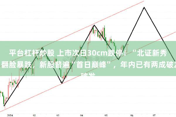 平台杠杆炒股 上市次日30cm跌停！“北证新秀”翻脸暴跌，新股普遍“首日巅峰”，年内已有两成破发